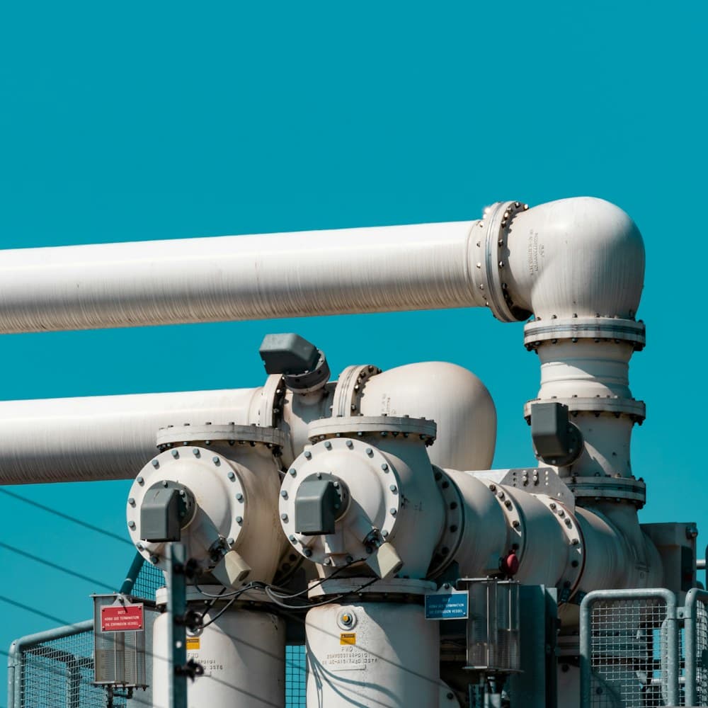 Hydrogen & Fuel Cells